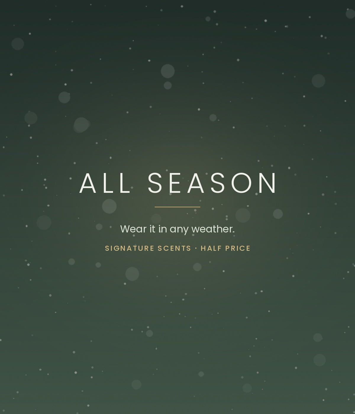 All Season